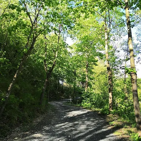 Demetra Отель типа 