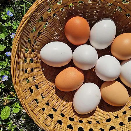 Demetra Отель типа 