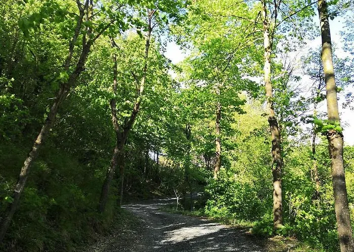 Demetra Bed & Breakfast Solignano