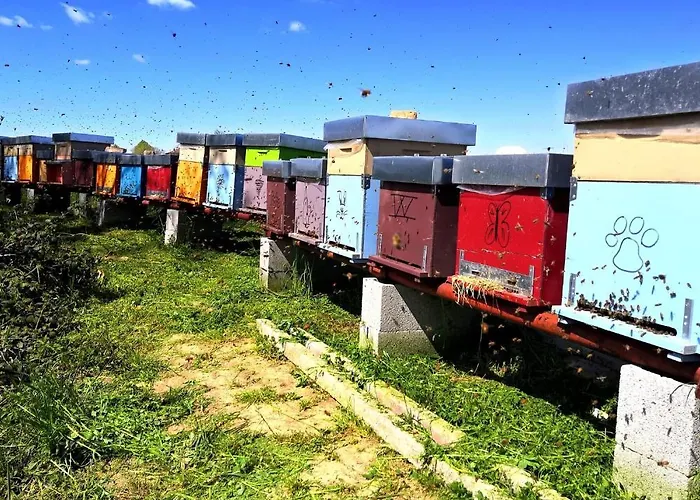 Bed & Breakfast Demetra Solignano