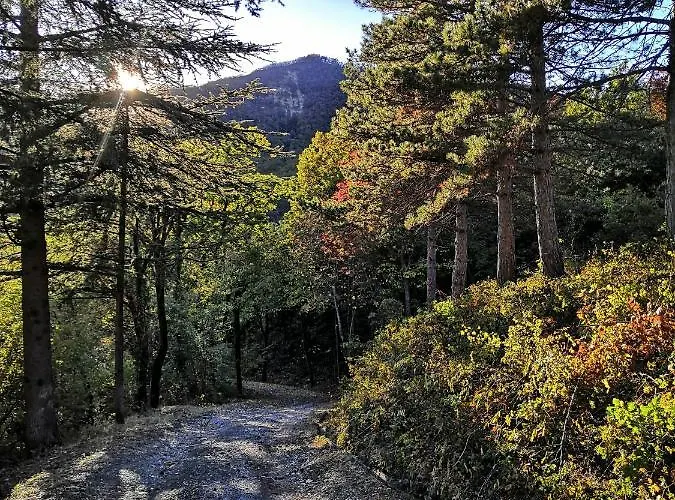 Demetra Bed & Breakfast 3*