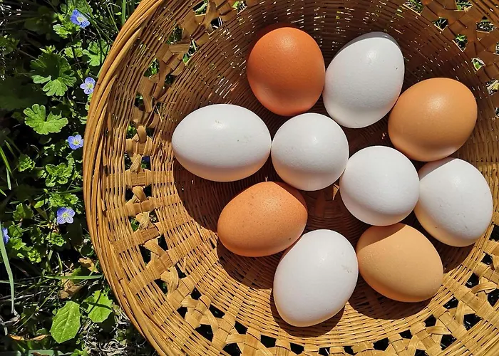 Demetra Bed & Breakfast